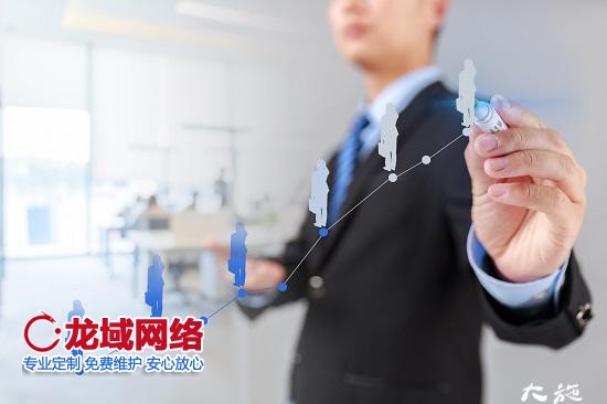 運營是做什么的？運營的主要工作內(nèi)容是什么？做網(wǎng)站公司龍域網(wǎng)絡(luò)營銷為您獨家提供企業(yè)運營的12個方面
